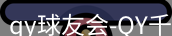qy球友会